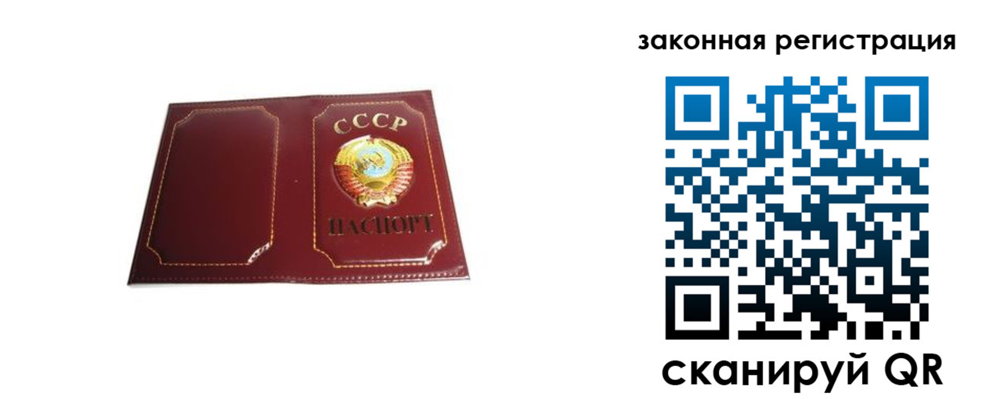 прописка поиск в Дубне